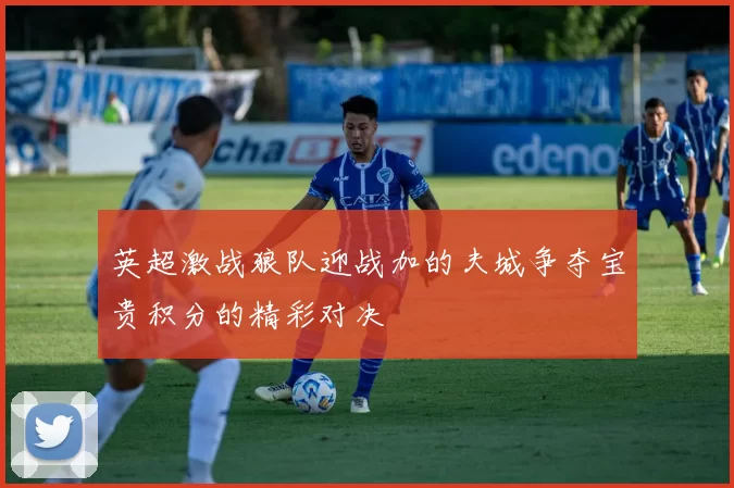 英超激战狼队迎战加的夫城争夺宝贵积分的精彩对决